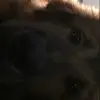 Jordan Minter - @jordan.minter - TikTok
