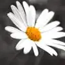Jordan Moye - @jordanmoye - TikTok