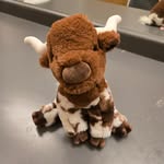 Jordan Nathanson - @jordannathansonadventures - Instagram