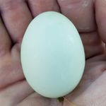 jordan needham - @excitingeggs - Instagram