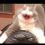 Jooordan Pewry - @jordanness_1683 - Instagram