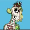 jordannewcomb909 - @jordannewcomb909 - TikTok