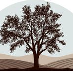Jordan Oaks Vineyard - Facebook