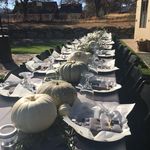 Jordan Oaks Vineyard - @jordanoaksvineyard - Instagram