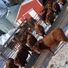 Jordan Sohl - @jordansohl - TikTok