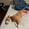 jordanperrin77 - @jordanperrin77 - TikTok