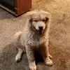 Jordan Post - @jordan_post5858 - TikTok