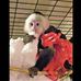 Jordan Pressley - Facebook