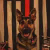 Jordan Rhoads - @jordan.rhoads0 - TikTok