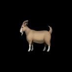 Jordan Rich - Facebook