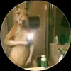 Jordan Rivas - @jordan.rivas38 - TikTok