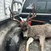 Jordan Royce - @jordan.royce1 - TikTok