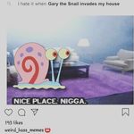 jordan schuster - @6nitch9nine_ - Instagram