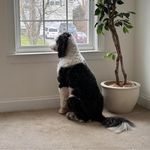 Jordan Schweiger - @jschweiger - Instagram