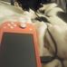 Jordyn Shuck - Facebook