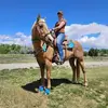 Jordan Simms - @jordan.simms2 - TikTok