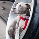 Jordan Spoon - @naheulbeuk17 - Instagram