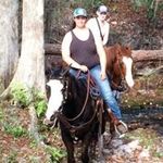 Jordan Spring - @jordan.greenswampexotics - Instagram