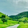 ربيع الأردن 🇯🇴 - @jordan_spring - TikTok