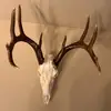 Jordan - @jordansteger4 - TikTok
