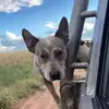 Jordan - @jordan.stern - TikTok