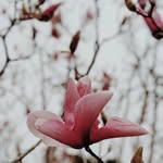 JordanStorie - @_jordanstorie_ - Instagram