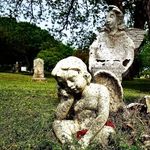 Charles Jordan Strader - @charlesjordan101 - Instagram