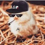 Jordan Thurber - @lebron_uames - Instagram