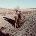 Jordan Thurber - Facebook