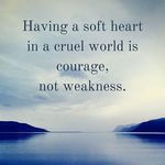 Jordan Tyrrell - @jordantyrrell50 - Instagram