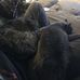 Jordan Vickers - Facebook