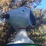 Jordan Wesley - @jordanwesley6882 - Instagram