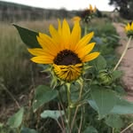 Jordan Schmidt - @jordanasmith - Instagram