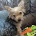 Jordana-Rose Smith - Facebook