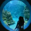 Jordyn - @jordyn_brownlee - TikTok