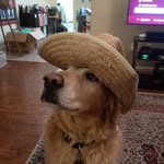 Jordan Erickson - @jordanious_the_great - Instagram