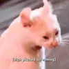 jordyn_hill - @jordyn__hill - TikTok