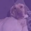 Jordyn.Hill - @jordyn.hill262 - TikTok