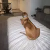 jordynrayyy - @jordynrayyy - TikTok
