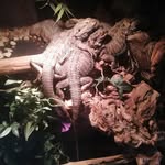 Jörg Hennig - @jorg.hennig.739 - Instagram