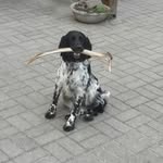 Jörg Hennig - @joerghennig1965 - Instagram