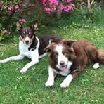 Jörg Neumann - Facebook