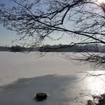 Jörg Neumann - @jorg.neumann.503 - Instagram