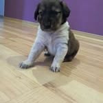 Jörg Wagner - @jorg.wagner.581525 - Instagram