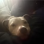 Jorge Abrams Jr. - Facebook