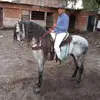 Jorge Aceves - @jorge.aceves71 - TikTok