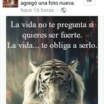 Jorge Eliezer Linarez Algara - @linarezalgara - Instagram