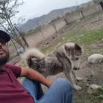 Jorge Antillon - @antillonjorge - Instagram