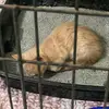 Jorge Araguz - @jorge.araguz4 - TikTok