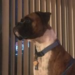 Jorge Avitia - @jorgeavitia52 - Instagram
